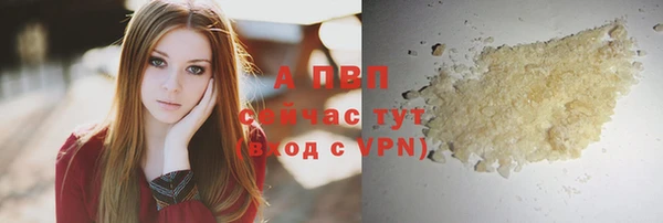 СК Абинск