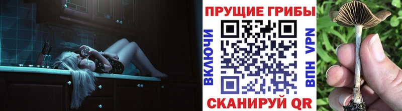 Псилоцибиновые грибы Magic Shrooms  Каменка 